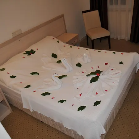 Hotel Mikado 3*